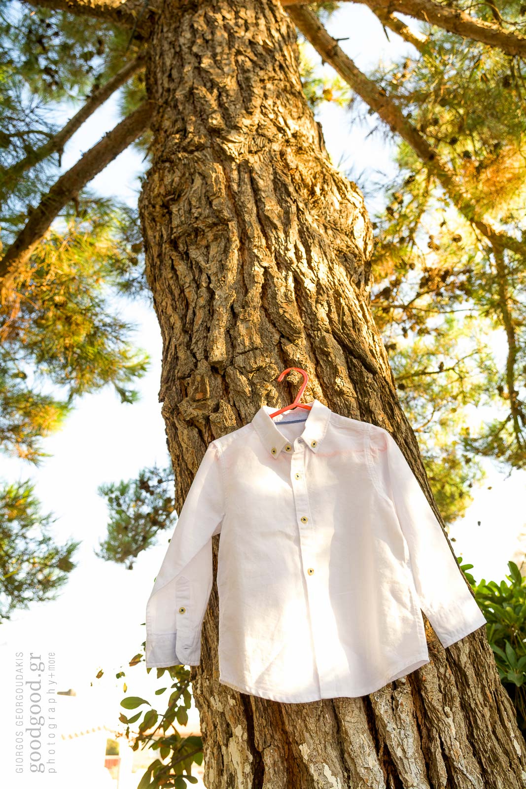 White christening shirt hung on a tree trunk